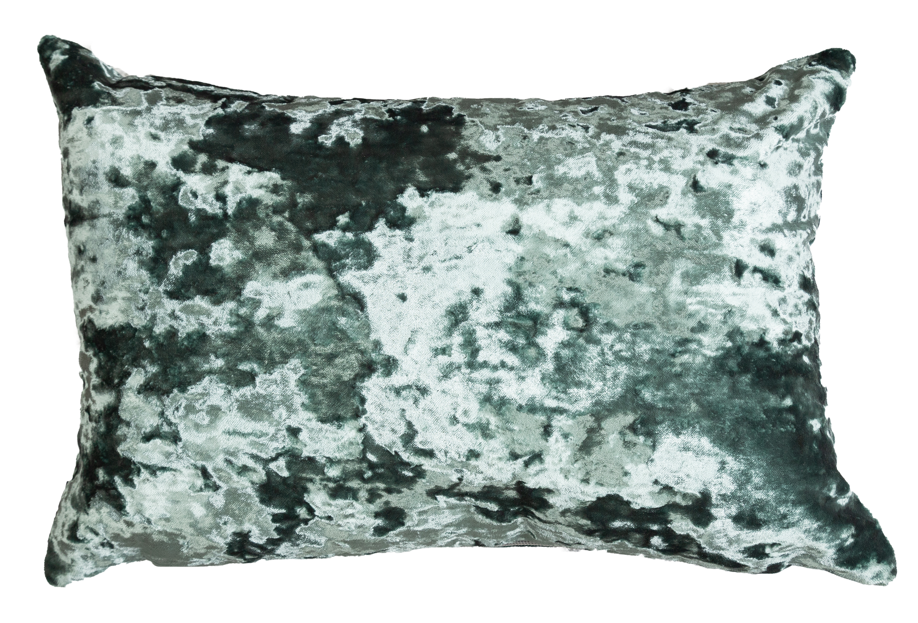 Basil Lumbar