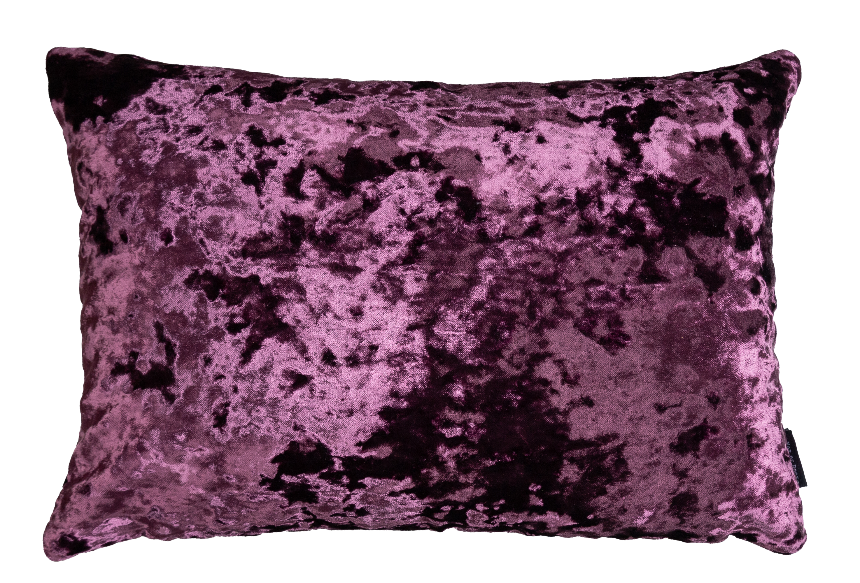Deep Purple Lumbar