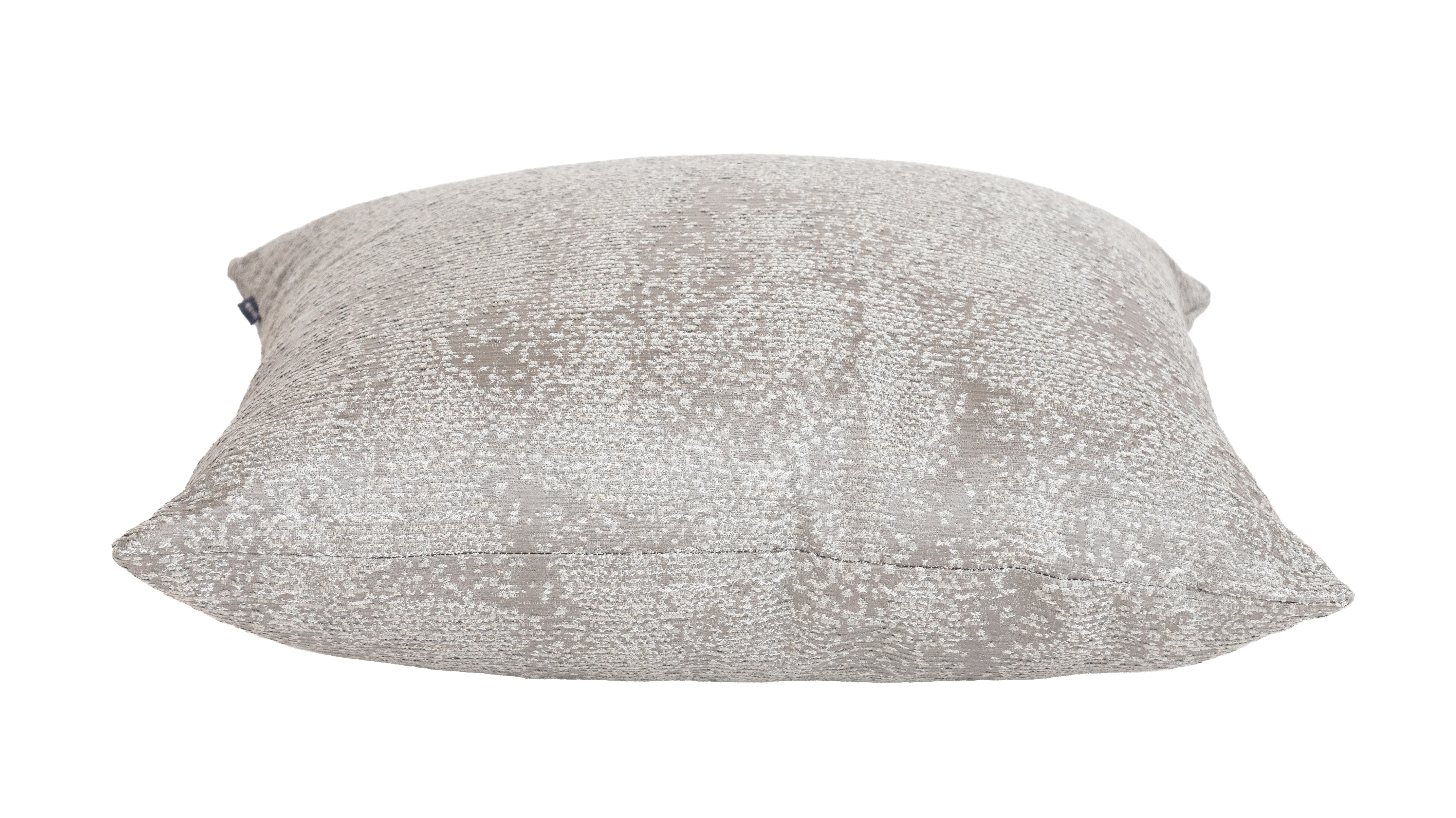 Gray Clam